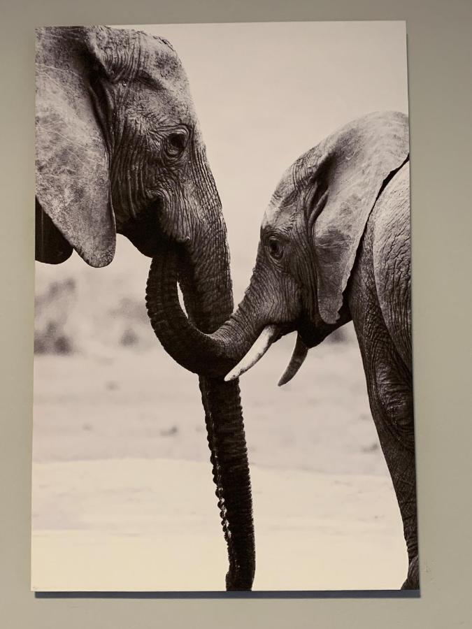 Elephant House Mogwase Extérieur photo
